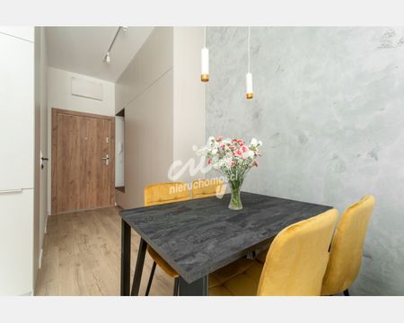 Szczecin - Zdjęcie 4