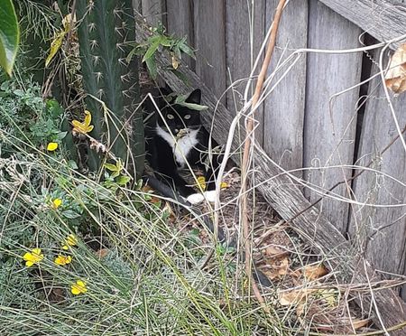 Sunshine West - Photo 5