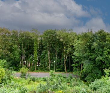 Umgebung - 33142 Büren - Photo 4