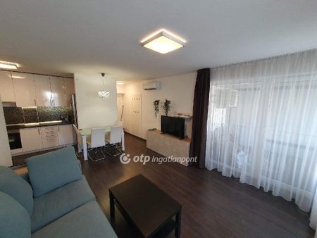 lakóházak között, Csongrád-Csanád, 6725, Szeged - Fotó 4