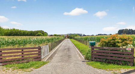 PERFECT LIFESTYLE PROPERTY ! - Photo 5