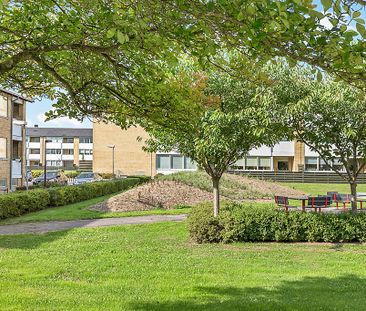 Afd. 25 Område Glarbjergvej - Photo 5