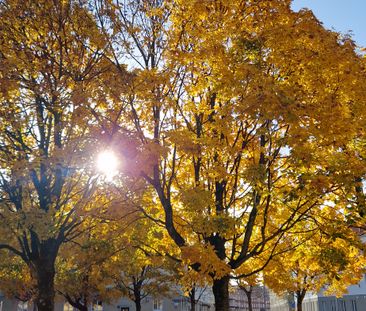 Måns Bryntessonsgatan, Göteborg - Photo 3