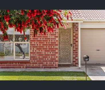 37 Olive Street, Largs Bay, SA 5016 - Photo 6