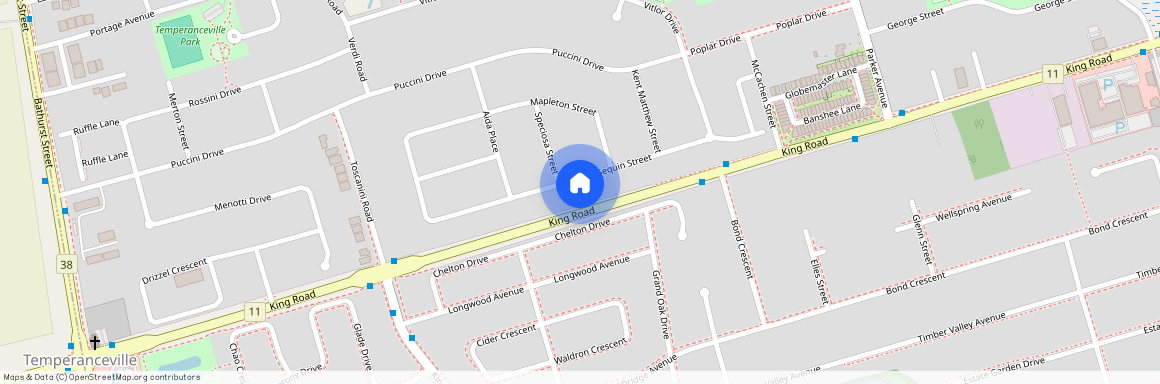 113 Seguin Street, Richmond Hill