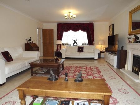 Ferndown - Photo 4