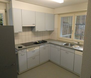 3.5 Zimmer, EG - Photo 2