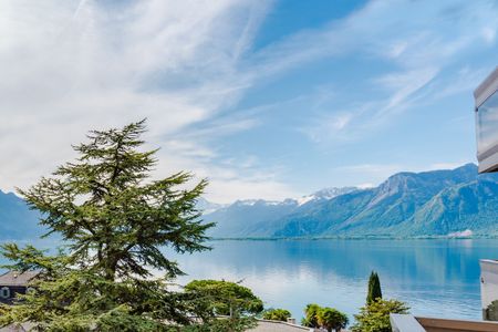 Furnished 3.5 room apartment on the 4th floor - Photo 5