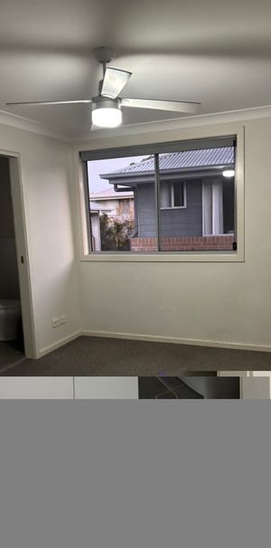 Shortland - Photo 1