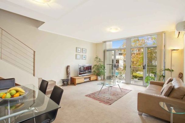 132/25-33 Allen Street Waterloo - Photo 1