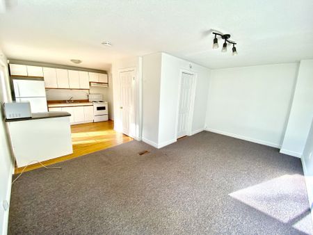 For Lease - 43 Walter Avenue Unit# lower back unit, Newmarket, Ontario - Photo 2