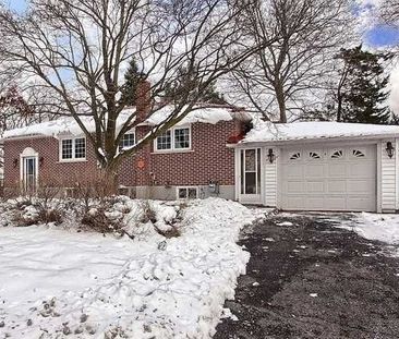 For Lease - 1 Napier Street, Barrie, Ontario - Photo 4