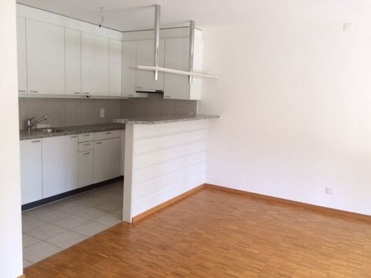 Ruhige Wohnung im Grünen! - Foto 1