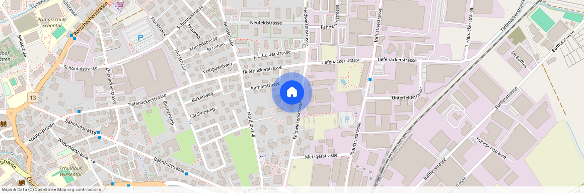 9450, Altstätten, Feldwiesenstrasse, 21