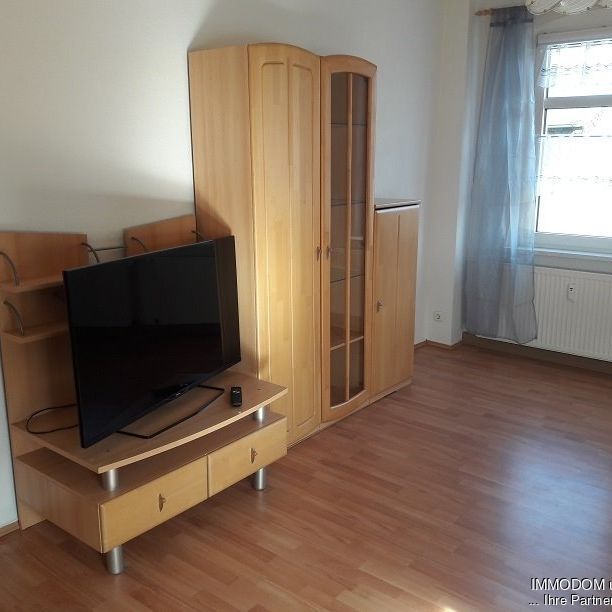 2-Zimmer-Wohnung in Wilkau-Haßlau, komplett möbliert in ruhiger und grüner Wohnlage, zu vermieten! - Photo 1