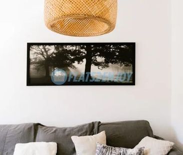 Carrer del Serpis, Valencia, Valencian Community 46022 - Photo 3