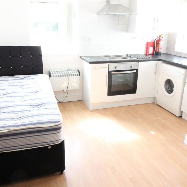 Flat 3, 95 Cathays Terrace, Cathays, Cardiff, CF24 4HT - Photo 1