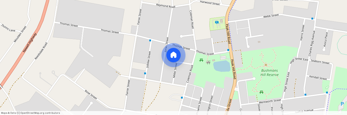 14 Miller Street, NSW 2870, Parkes