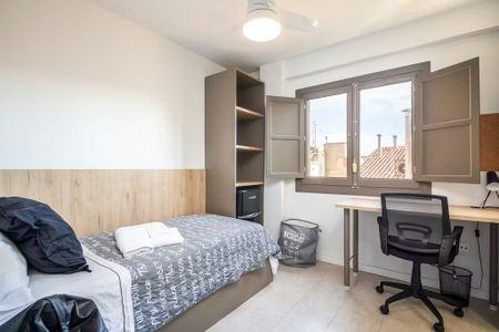 Carrer de Sant Donís, Valencia, Valencian Community 46003 - Photo 4