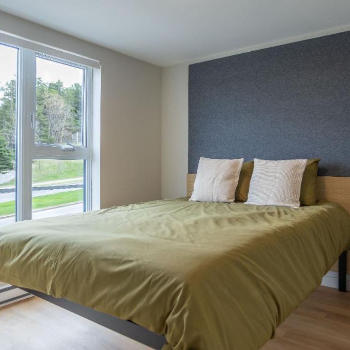 3 1/2 APPARTEMENT MEUBLÉ À LOUER - Photo 1