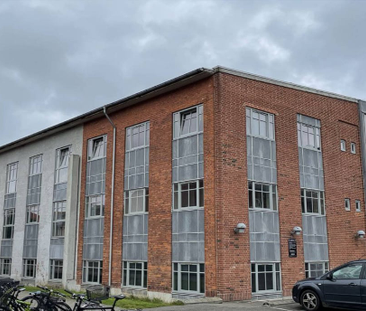 God delevenlig 3 værelses - Photo 3