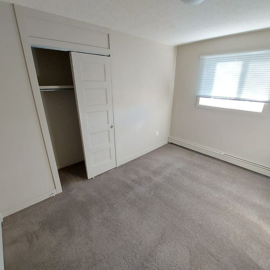 Beautiful 2 Bedroom Unit in Parkvale!! - Photo 1