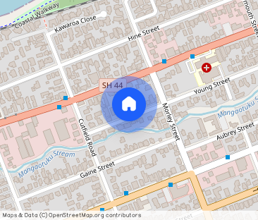 100 Young Street, City Centre, New Plymouth - Photo 1