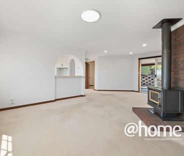 Sunny and Spacious - Photo 1