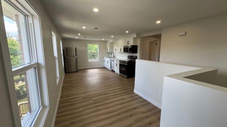 For Lease - 115 - B Bidwell Street, Tillsonburg, Ontario - Photo 4