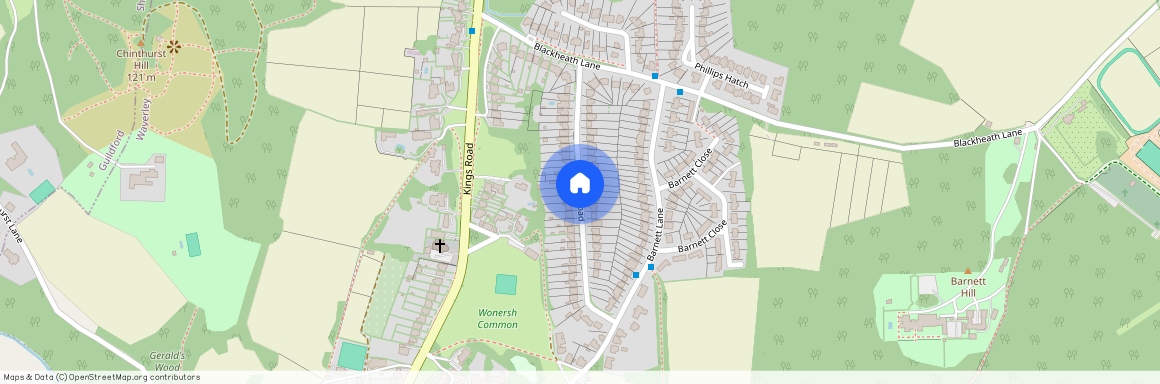 New Road, Wonersh Village