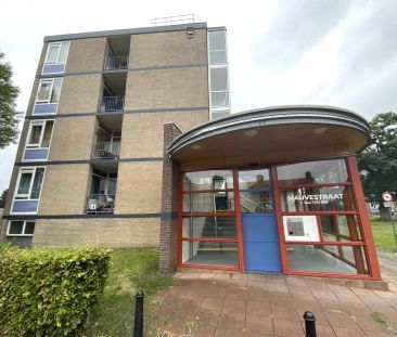 Appartement de 2 chambres Mauvestraat, Apeldoorn - À Louer - Foto 3