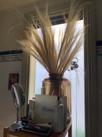 Albert Park - Photo 4