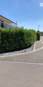 Doppeleinfamilienhaus in Lengwil - Photo 4