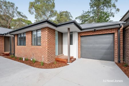 3/16 Cameron Road, CROYDON - Photo 3