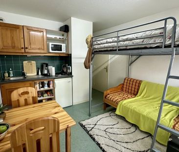 Location Appartement 1 pièce Meublé 17m² LE BOURGET DU LAC 73370 - Photo 3