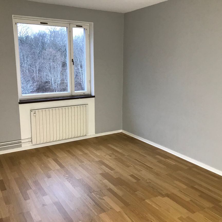 Humleplan 39 - Photo 1