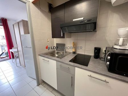 Location Appartement 1 pièce 14m² PERPIGNAN 66000 - Photo 4