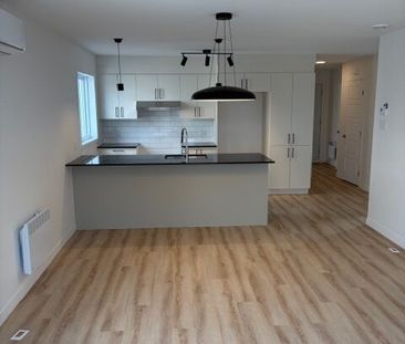 542 Rue Saint-Michel, Sherbrooke, (Vacant) QC J1E 2L1 - Photo 5