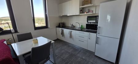 Bright and modern apartment for rent in Cluj-Napoca, near University of Agricultural Sciences and Veterinary Medicine, consisting of a living-room with kitchen, bedroom and an extra grand balcony - Photo 4