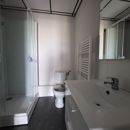 Location Appartement 1 pièce 20m² - Photo 3