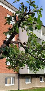 Skolvägen 17 - Photo 4