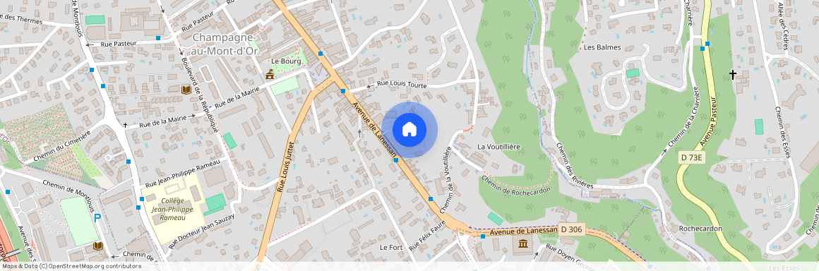 22 AVENUE LANESSAN, LE VAL D OR BAT A, CHAMPAGNE AU MONT D OR Centre