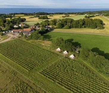 Stora Vägen, Arild - Photo 4