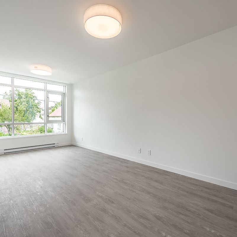 1008 Pandora Avenue, Victoria - Photo 1