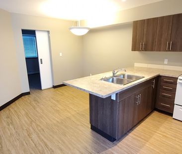 GORGEOUS 2 BEDROOM BY THE RED DEER RIVER - LOW INCOME HOUSING - Photo 6
