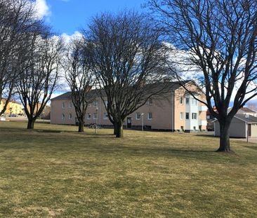 Gillegatan, Vimmerby - Foto 4