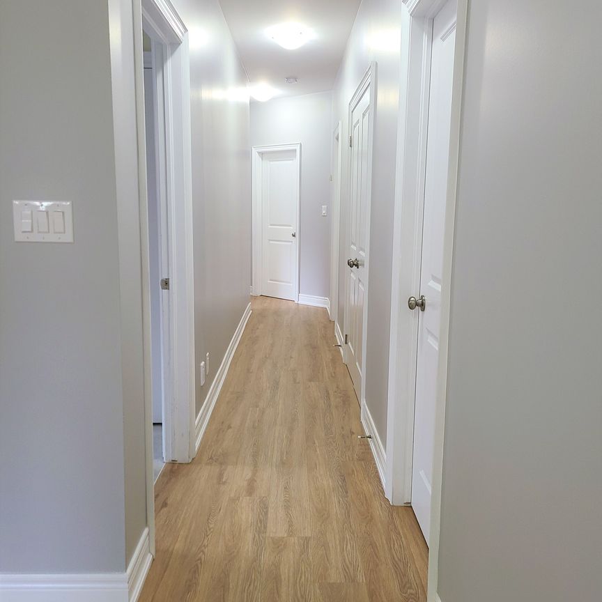 For Lease - 11 Donald Avenue Unit# Lower, Welland, Ontario - Photo 1