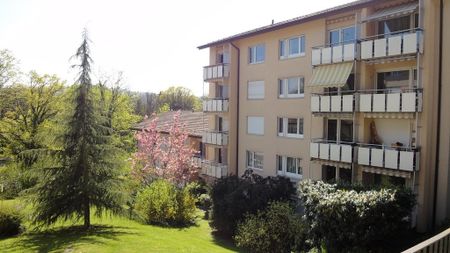 Charmante Wohnung an der Limmat zu vermieten! - Photo 4