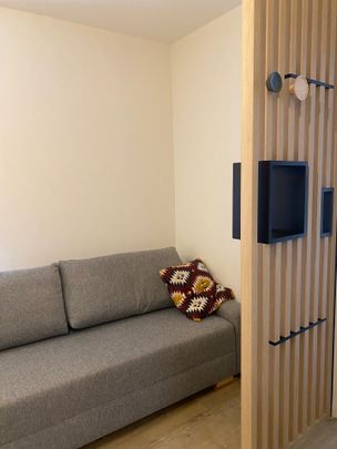 Location Appartement 1 pièce 17m² BRIGNAIS 69530 - Photo 1