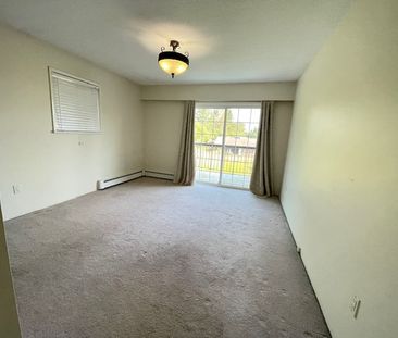 Langley Main House 3 Bedrooms/2.5 Bathrooms - Photo 2